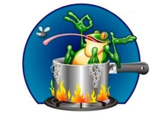 Metáfora: “La rana que no sabía que estaba hervida”