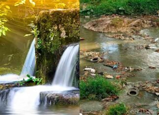 Parábola del Rebote