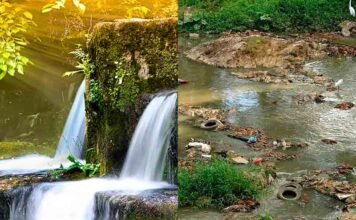 Parábola del Rebote