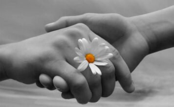 Parábola del Perdón