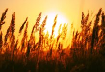 EL ENIGMA DEL SÁBADO