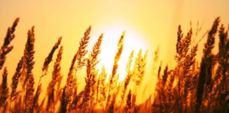 EL ENIGMA DEL SÁBADO