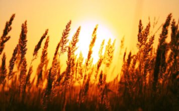 EL ENIGMA DEL SÁBADO